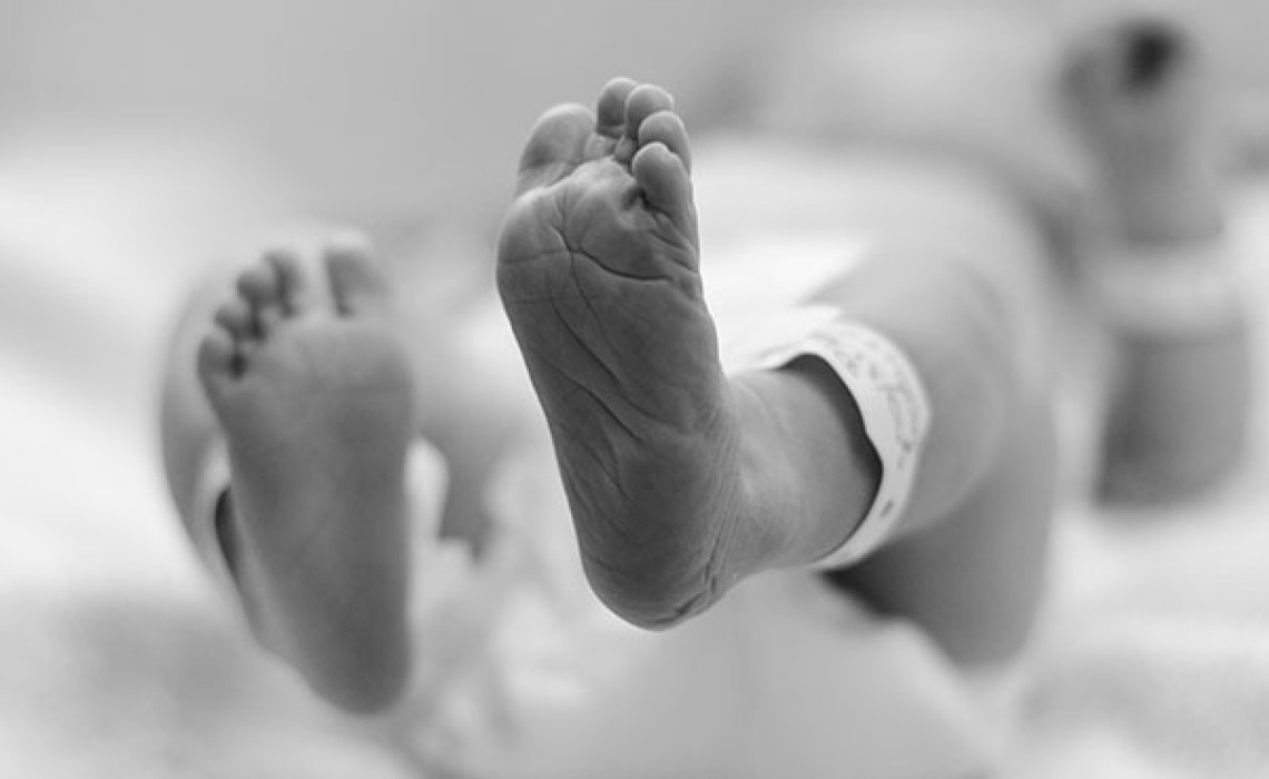 Lockdown Literature Series – The Global Birth